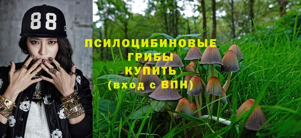 каннабис Богданович