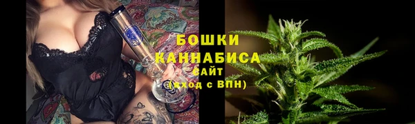 крисы Богородицк