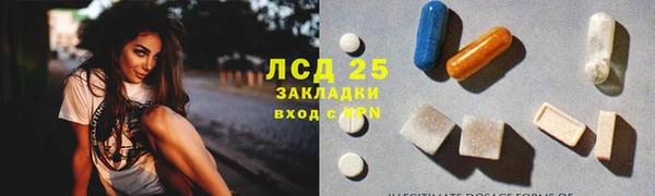 крисы Богородицк