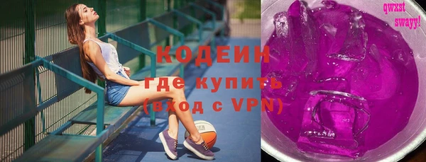 крисы Богородицк