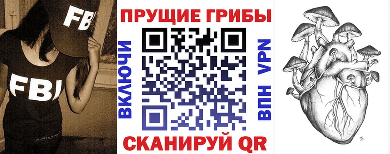 Галлюциногенные грибы ЛСД Купить где Мурино